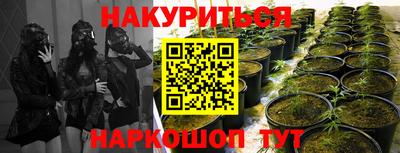 кокс Заводоуковск