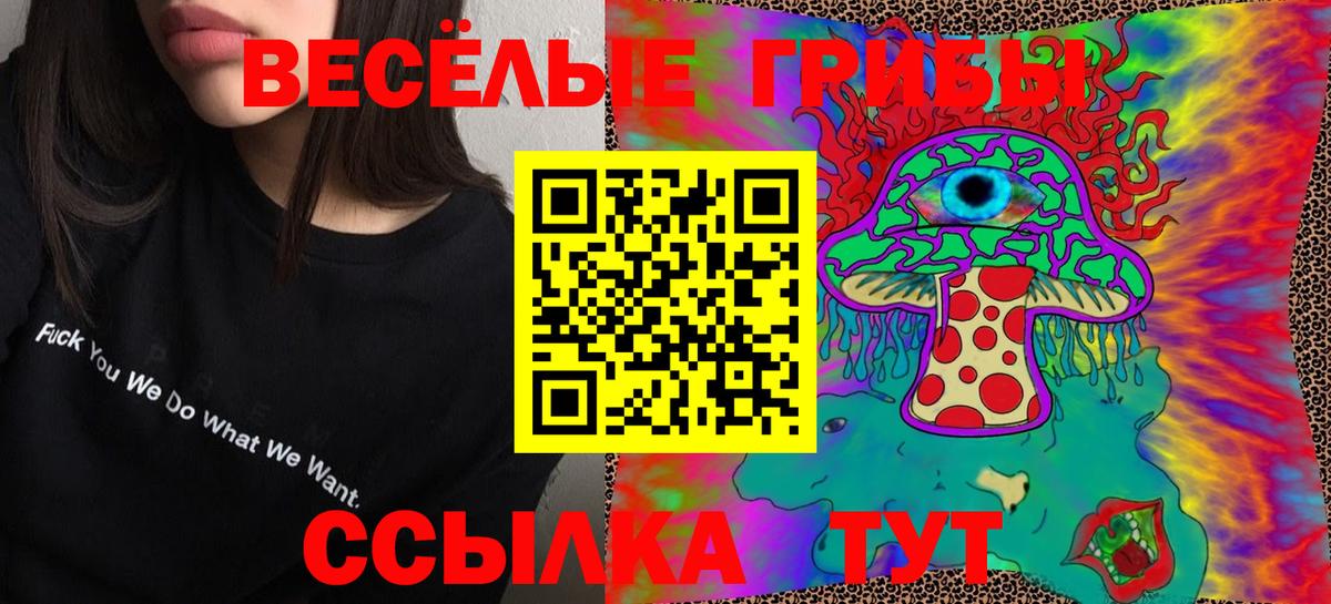 Галлюциногенные грибы Psilocybe Миасс